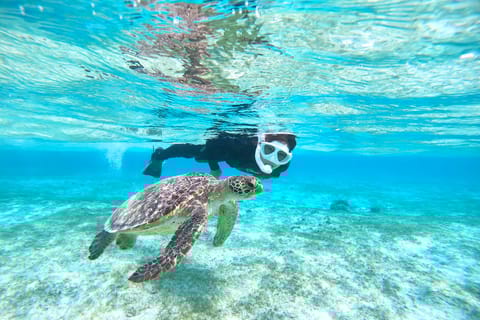 Miyako Island: Kayaking and Snorkeling Experience