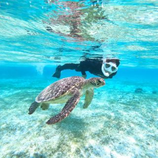 Miyako Island: Kayaking and Snorkeling Experience