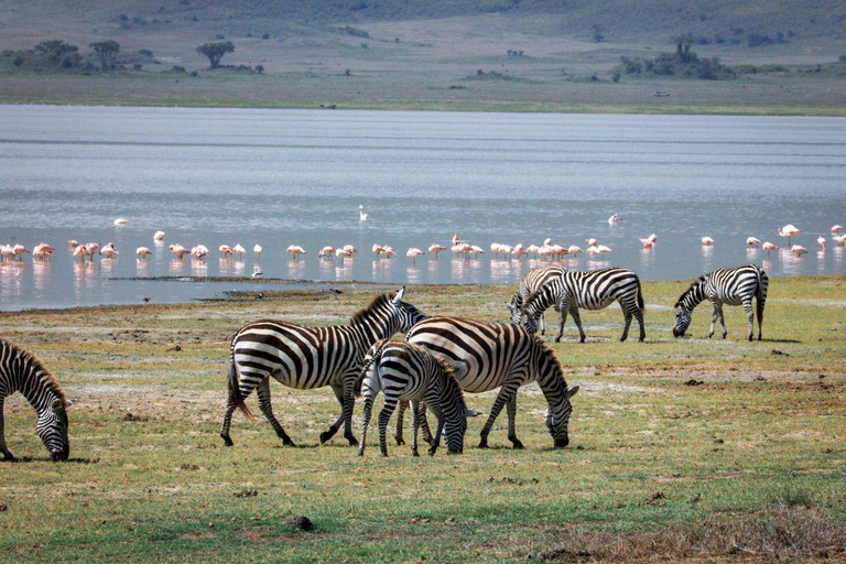 Nairobi: Lake Nakuru National Park and Lake Naivasha Tour