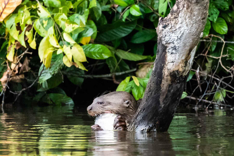 Puerto Maldonado: 4-Day Amazon Rainforest Adventure