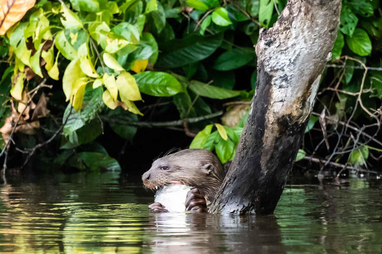 Puerto Maldonado: 4-Day Amazon Jungle Adventure