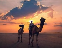 Sharjah, cuatro sibilancias en Sahara Sand Dunes - Hizvo