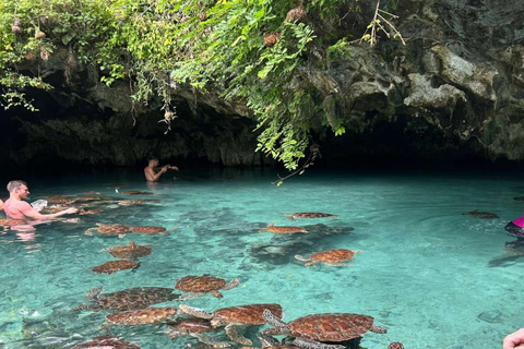 Bosque de Jozani y aguas turquesas Natación con tortugas en la cueva de SalaamTOUR SIN SERVICIO DE RECOGIDA DEL HOTEL Y REGRESO