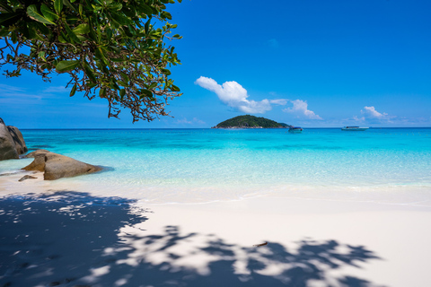 Depuis Ao Nang : Excursion en bateau dans les îles Similan avec transfert et nourriture