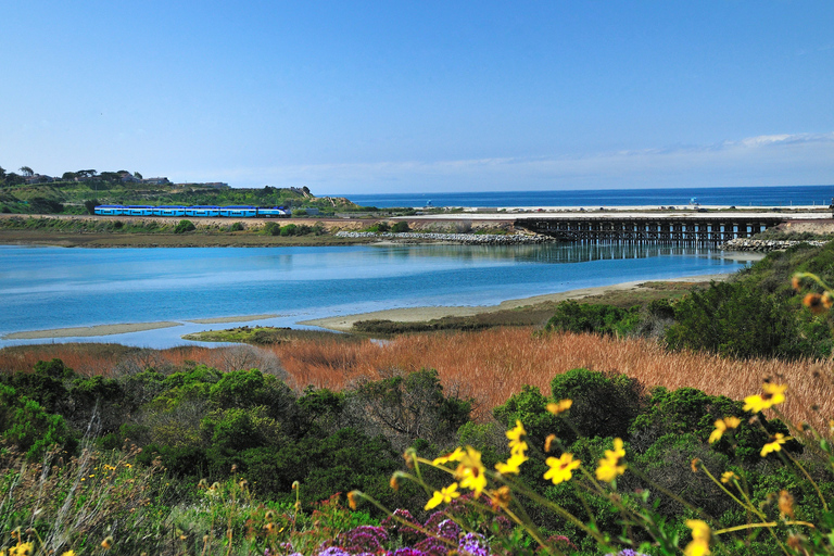 Pacific Coast Highway: Audio Tour Between LA & San Diego