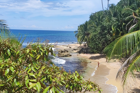 Puerto Viejo Talamanca: Wandere durch das Gandoca Manzanillo Wild Life Refuge.