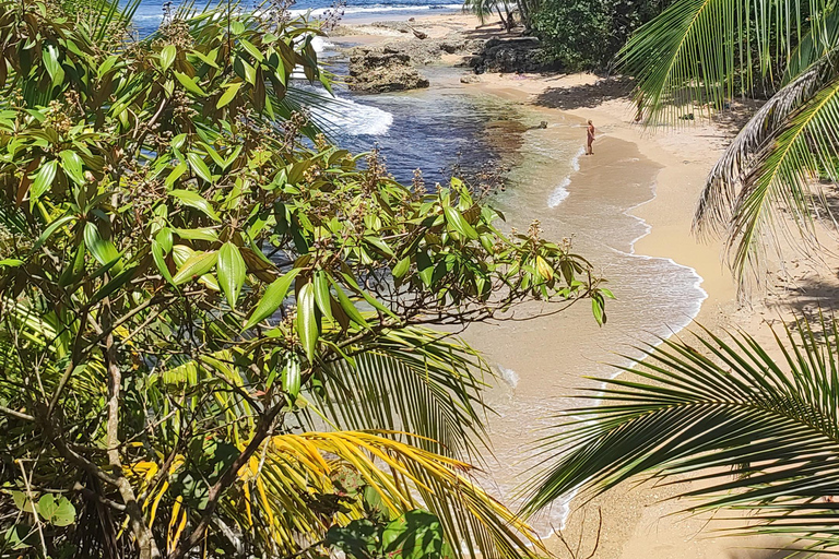 Puerto Viejo Talamanca: Wandere durch das Gandoca Manzanillo Wild Life Refuge.