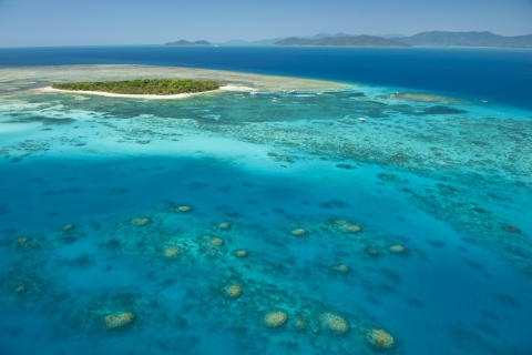 De Cairns: croisière d'une journée sur l'île verteOption standard avec visite semi-sous-marine et déjeuner buffet