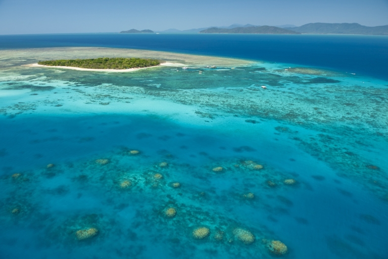 Ab Cairns: Ganztägige Green Island CruiseStandardoption mit Halb-U-Boot-Tour und Mittagsbuffet