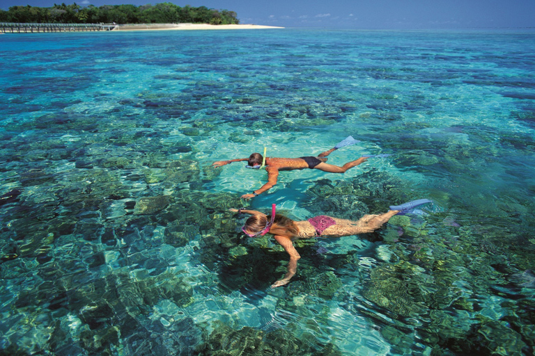 Från Cairns: Dags kryssning på Green IslandKryssning, snorkelutrustning och tur med halvt nedsänkbar båt