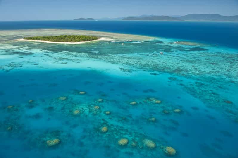 Cairns FullDay Glass Bottom Boat or Snorkel Tour GetYourGuide