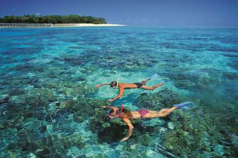 Cairns: Full-Day Glass Bottom Boat Snorkel Tour