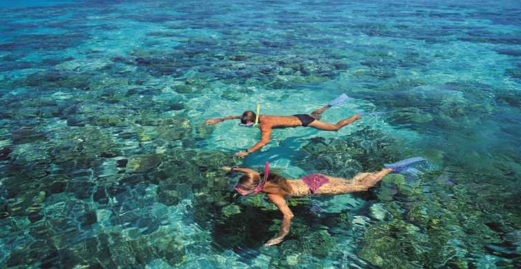 Cairns Full Day Glass Bottom Boat or Snorkel Tour