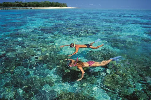 Da Cairns: crociera mattutina di mezza giornata a Green Island