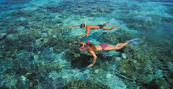 From Cairns: Green Island Half-Day Morning Cruise