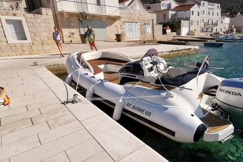 Zadar: Speedboat Tour to Ugljan, Osljak, and Galevac