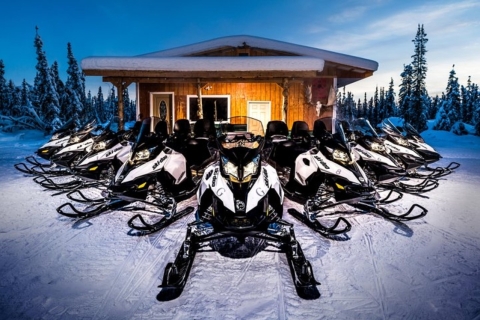 Noordpool Alaska: begeleide Fairbanks-sneeuwscootertourEnkele rijder (1 uur)