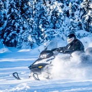 Nordpol, Alaska: 1-stündige geführte Schneemobiltour in Fairbanks