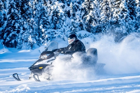 Polo Norte Alaska: Excursión guiada en moto de nieve por FairbanksPiloto individual (1 hora)