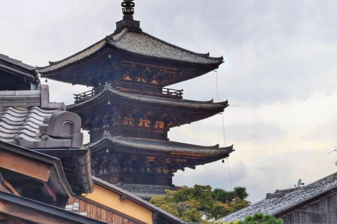 Kyoto und Nara: private Tour mit englischsprachigem Guide