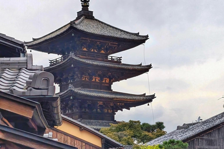 Kyoto und Nara: private Tour mit englischsprachigem Guide