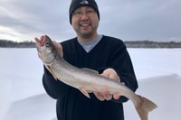 Fairbanks, Tour guiado de pesca en hielo - Hizvo
