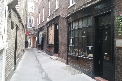 Londres: tour a pie de Harry PotterTour privado