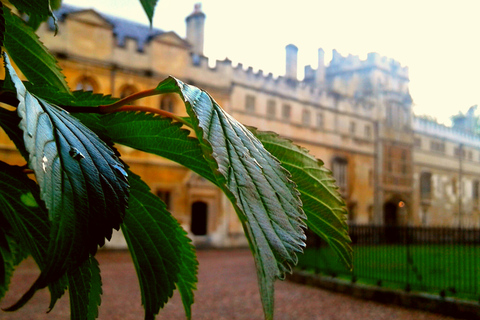 Oxford : visite guidée de l'école de théologie par Harry PotterVisite privée en français