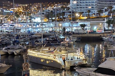 Tenerife: tour in catamarano al tramonto con trasferimento, cibo e bevande