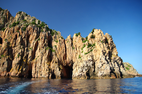 From Porto, Corsica: Piana Creeks Cruise Family-Friendly Cruise on a Speedboat