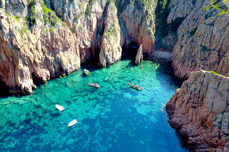 From Porto, Corsica: Piana Creeks Cruise Standard Cruise on Semi-Rigid