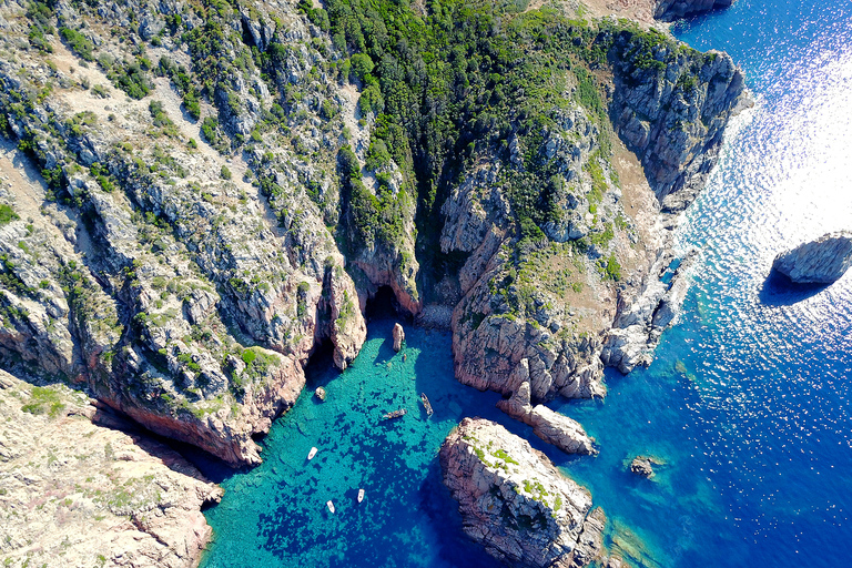 De Porto, Corse : Croisière sur les criques de PianaCroisière standard sur un bateau semi-rigide