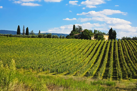 Florença: excursão diurna a San Gimignano, Siena e ChiantiFlorença: San Gimignano, Siena e Chianti - Excursão de um dia