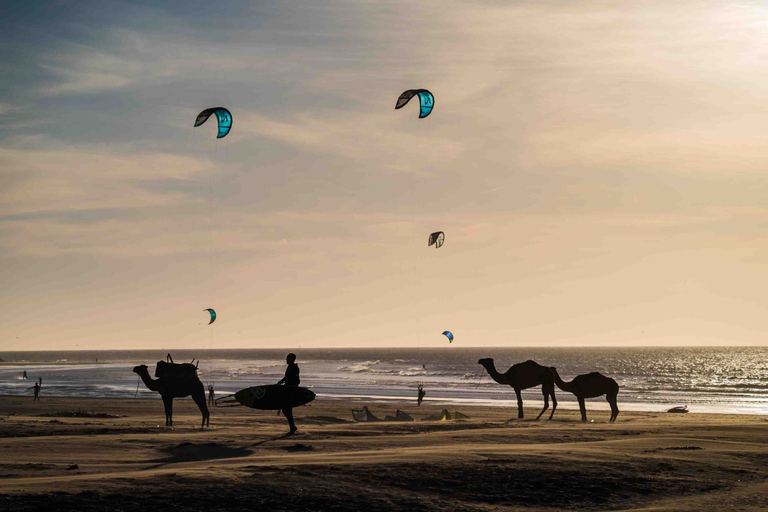 Von Marrakesch nach Essaouira: Private Geschichtstour