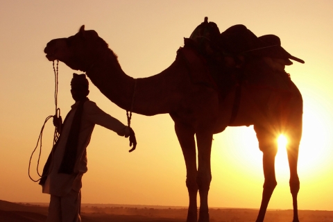 From Hurghada: Sunset Quad Safari and Camel Ride