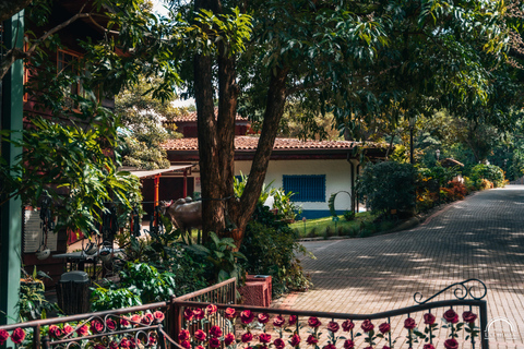 San José: Hacienda La Chimba Coffee Experience Tour