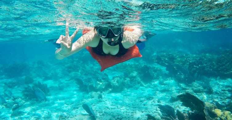 考尔克岛：伯利兹堡礁 7 站浮潜