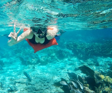 Caye Caulker: 7-Stop Snorkeling in the Belize Barrier Reef