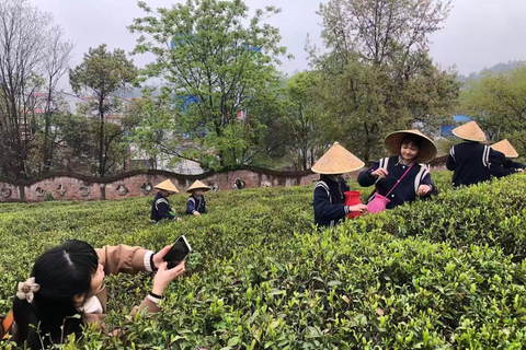 Guilin: 1-Day Cultural Hike of Longji & Ancient Tea Tasting