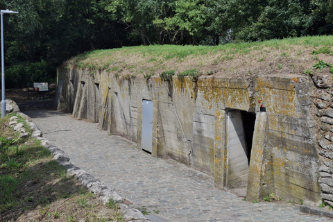Ypres WW1: Half-Day Tour