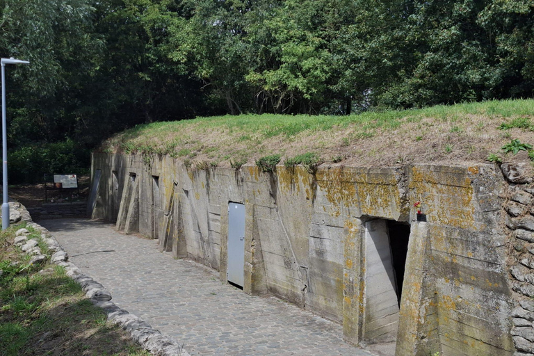 Ypres WW1: Half-Day Tour