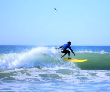 Albufeira: Surfing Lesson