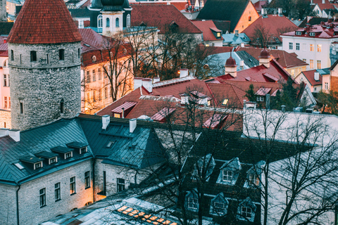 Tallinn Old Town: Medieval Stories, Estonian Food & Rooftop Complete Package: (Food & Drinks Included)