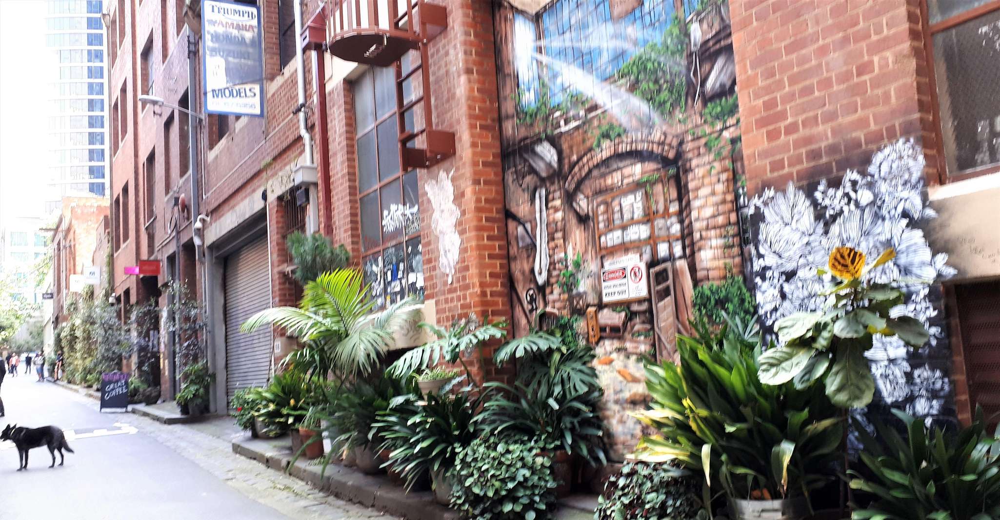 Melbourne Laneways Tour photo 9