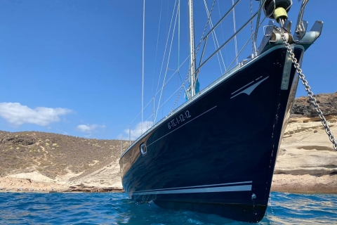 Tenerife: excursión en barco con avistamiento de ballenas y delfines