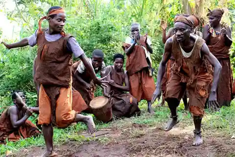 Desde Kampala: Safari de 3 días a Bwindi para hacer senderismo entre gorilas