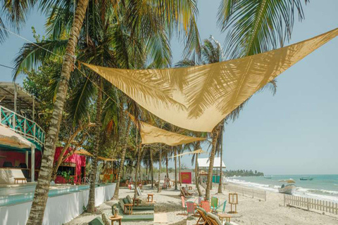 Tierra Bomba: VIP Day Pass + Pool + Lunch in Cartagena (Pinky Mango) Tierra Bomba: VIP Day + Pool + Lunch in Cartagena (Pinky Mango)