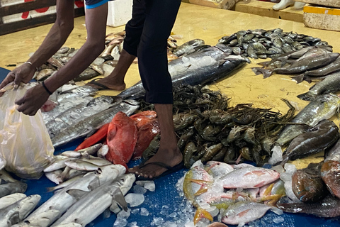 Bentota: Colombo Vismarkt en StadstourVan Bentota: dagtocht naar Colombo