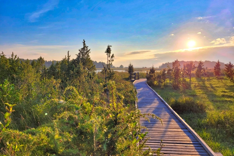 Riga: het beste van Kemeri National Park in één dag