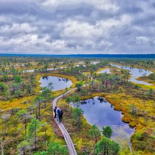 Riga: Best of Kemeri National Park In One Day